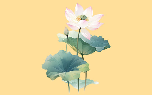 What-Does-The-Lotus-Flower-Mean-In-Taoism Xuan Shu